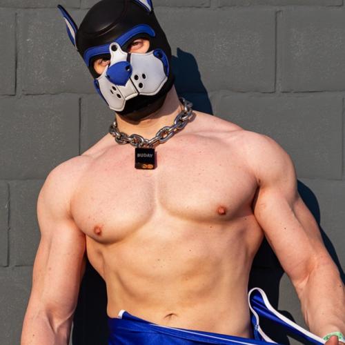 Pupbuday