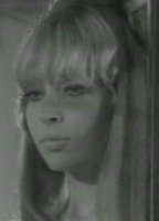 Денежные Пузыри