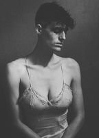 Голубь Дождя