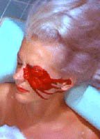 Сандра Синклер