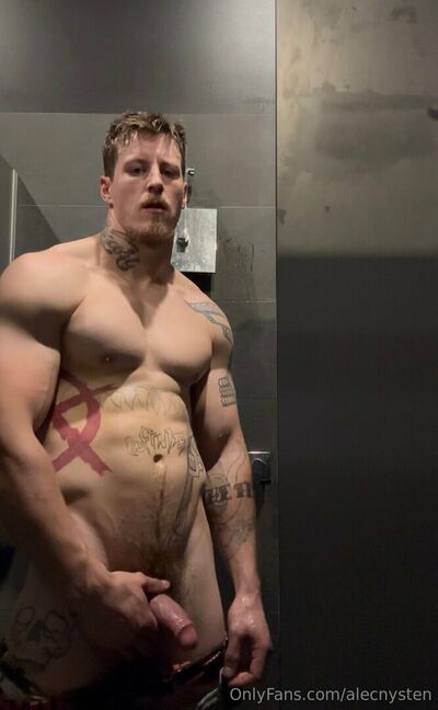Alecnysten