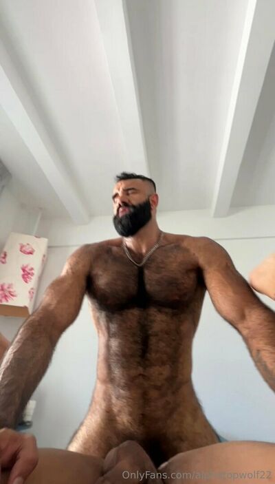 Alphatopwolf22