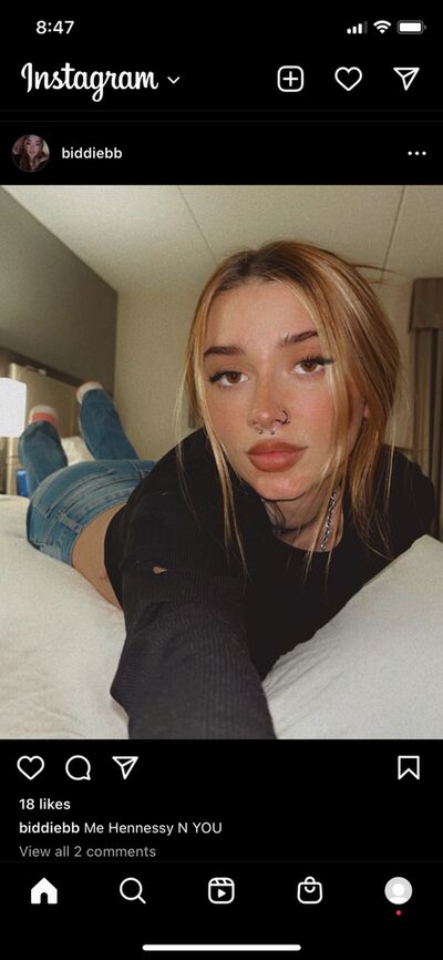 Biddiebb