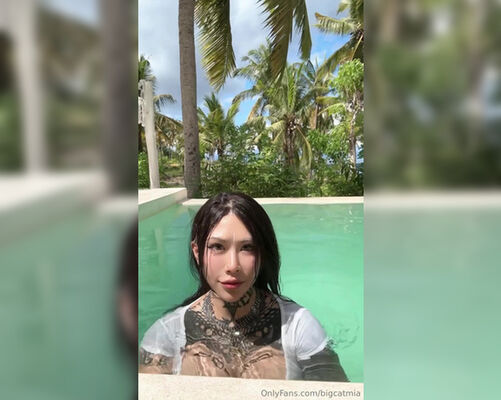 Bigcatmia