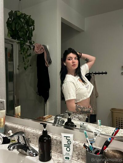Briannaholms
