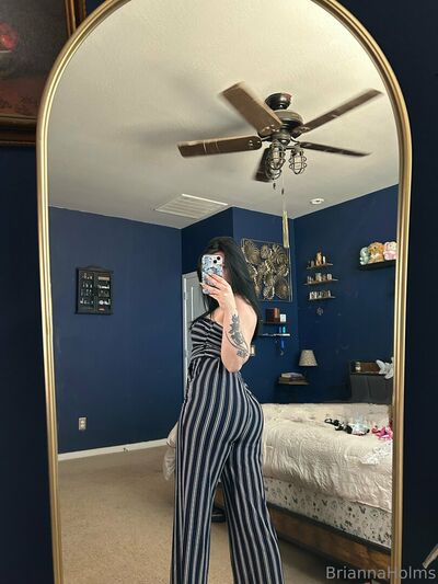 Briannaholms