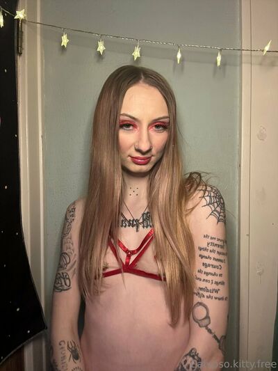 Calypsokittyfree