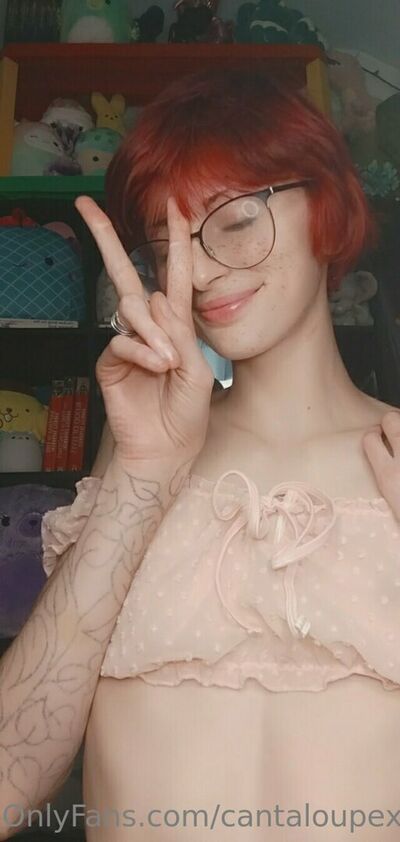 Cantaloupexo