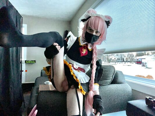 Catboiaoi