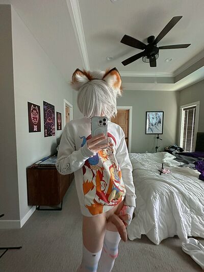 Catboiaoi