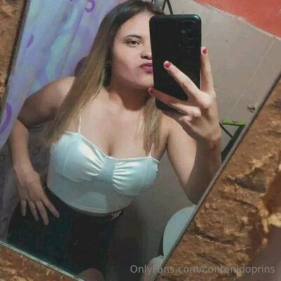 Contenidoprins
