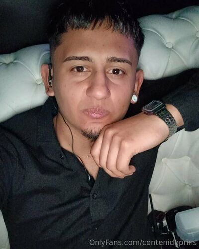 Contenidoprins