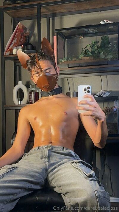 Derekpalacioss