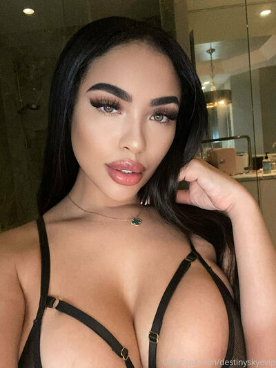 Destinyskyevip