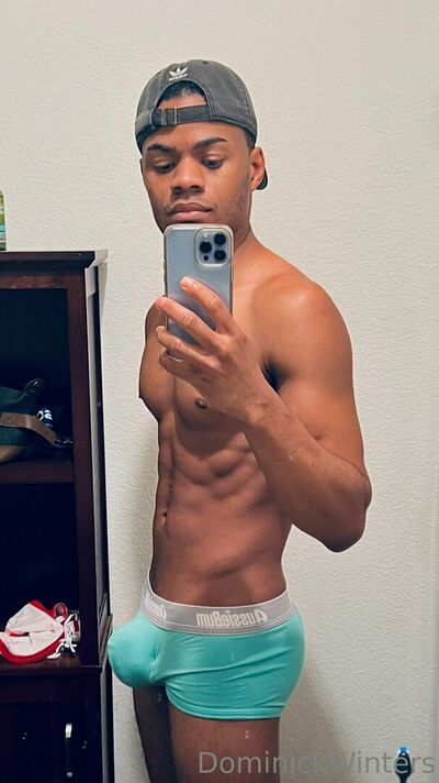 Dominickwinters