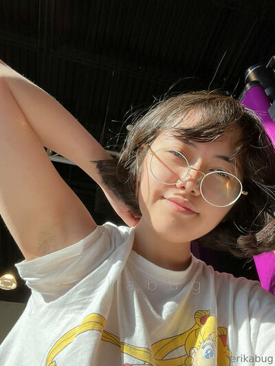 Erikabug