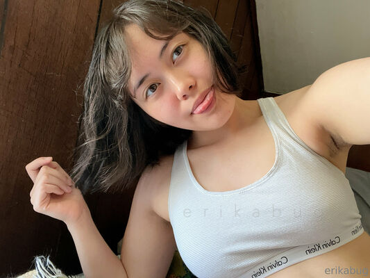 Erikabug