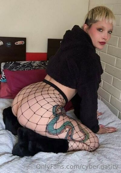 Felinebitx