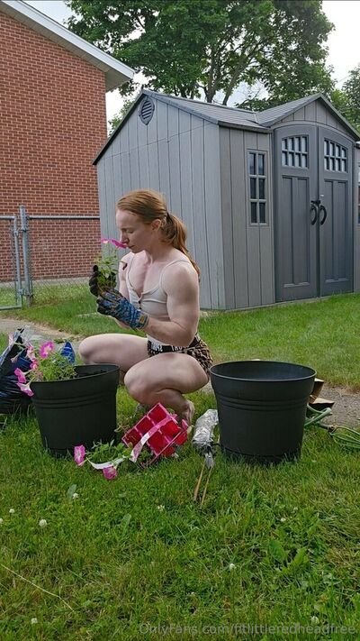 Fitlittleredheadfree