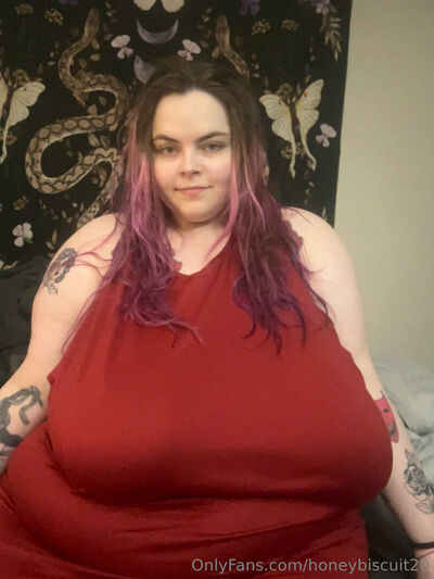 Honeybiscuit20