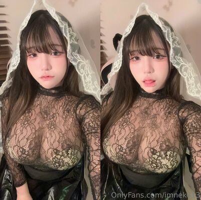 Imneko13