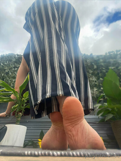 Joeyofarches