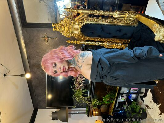 Katsandcrows