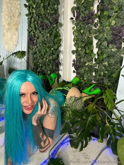 Katsandcrows