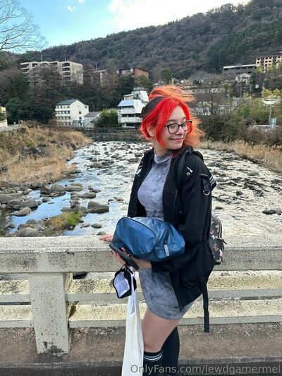 Lewdgamermel