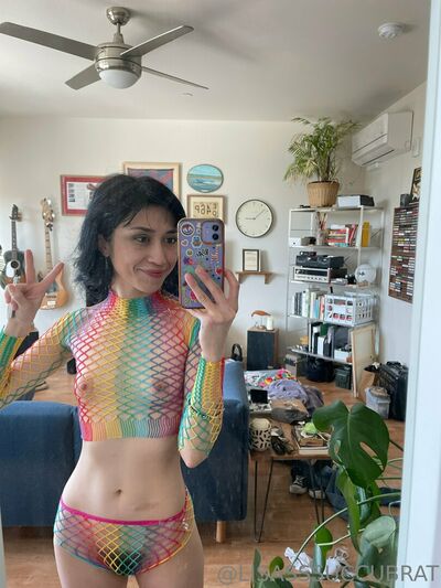 Lisathesuccubrat