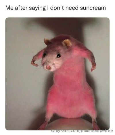 Millimonroefree