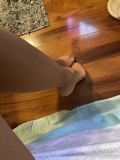 Nylonskitten