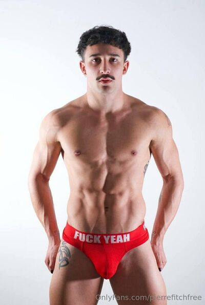 Pierrefitchfree