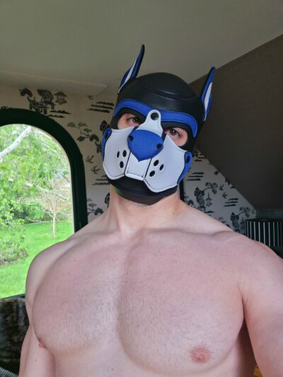 Pupbuday