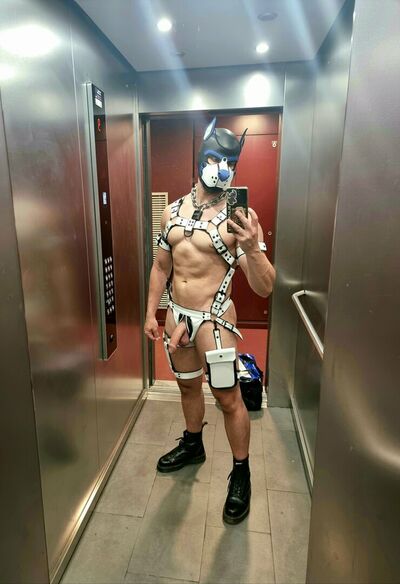 Pupbuday