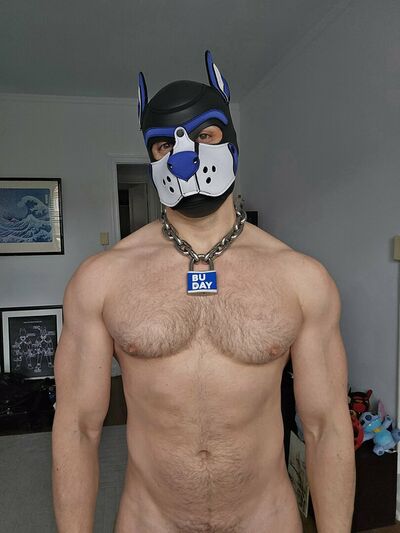 Pupbuday