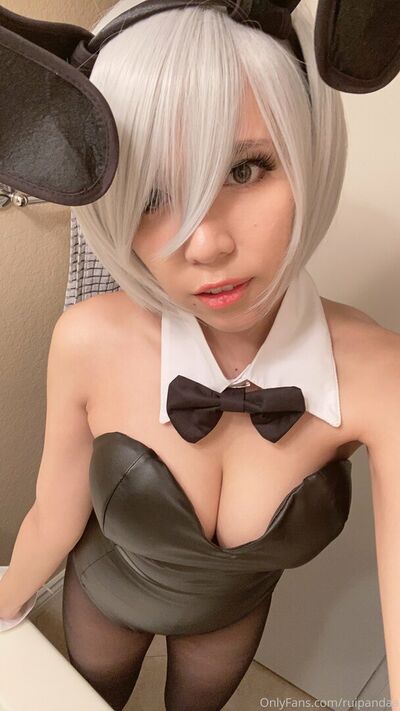 Ruipandaa