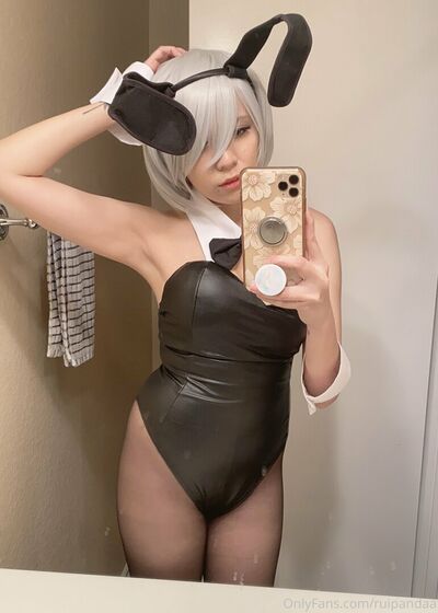 Ruipandaa