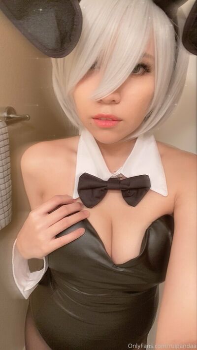 Ruipandaa