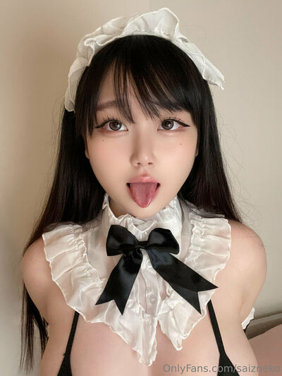 Saizneko