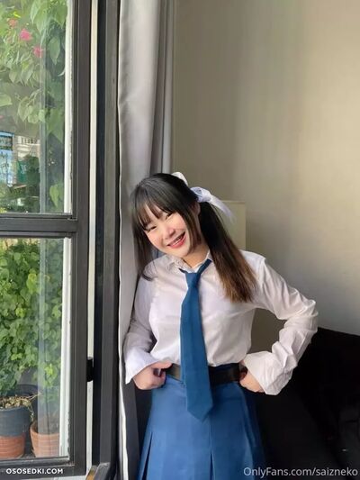 Saizneko
