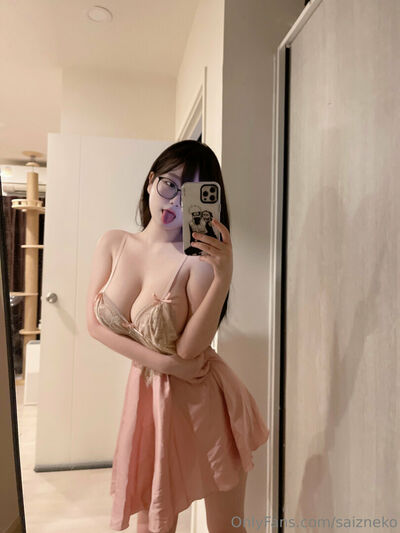 Saizneko