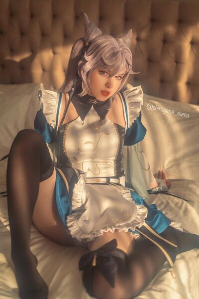 Shirogane-sama
