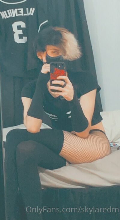 Skylaredm