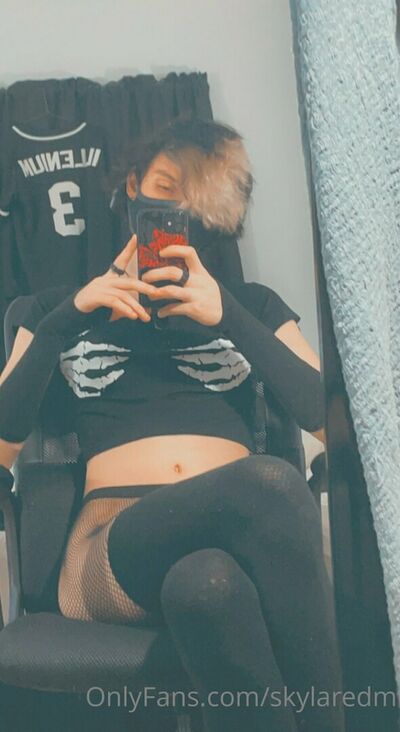 Skylaredm