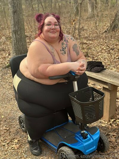 Spanxbeluga