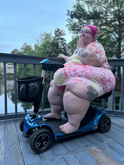 Spanxbeluga