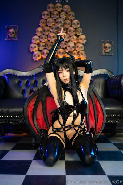 Succubo2d