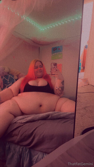Thatfatgemini