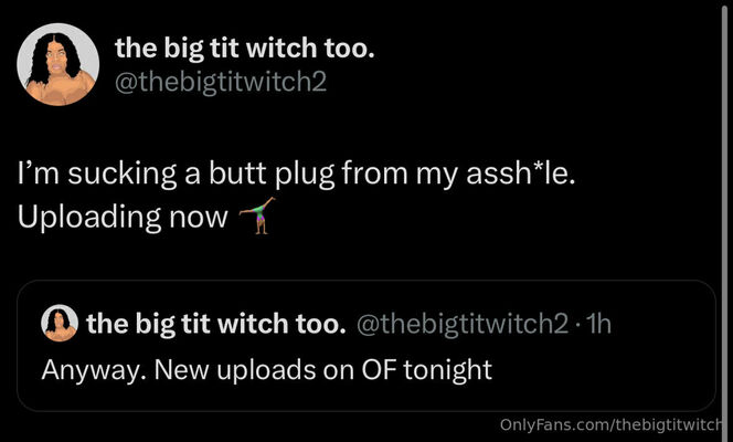 Thebigtitwitch